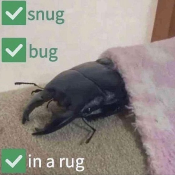 Meet your Posher, Silas - Picture 1 of 1